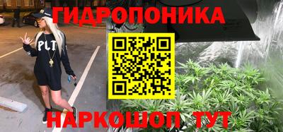 apvp Гагарин
