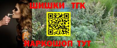 дживик Гатчина