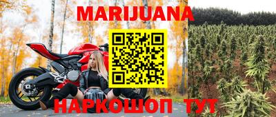 apvp Гагарин