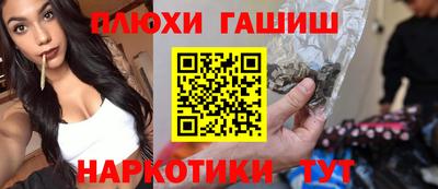 индика Аргун