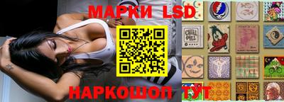 индика Аргун