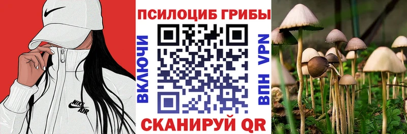 Галлюциногенные грибы Psilocybe  Карталы 